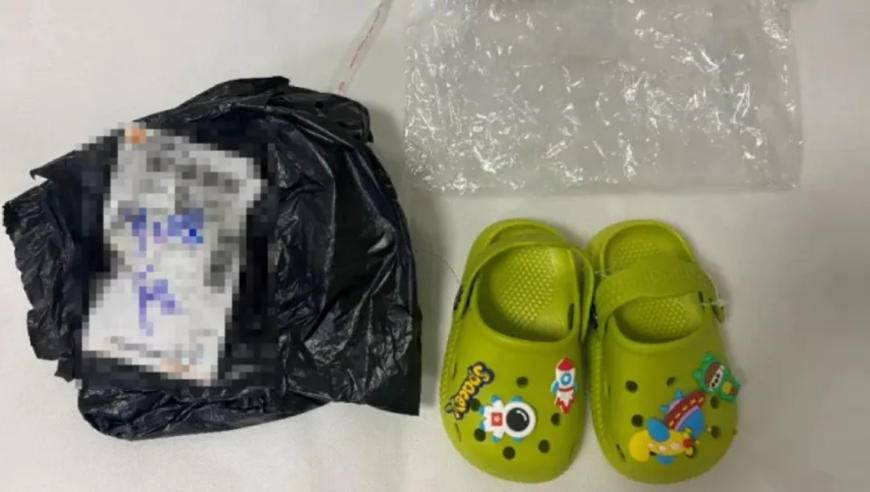 香港6合开奖结果今天,秦牧新建模帅出新高度,权威独家讨论与热门话题_创新版V4.100